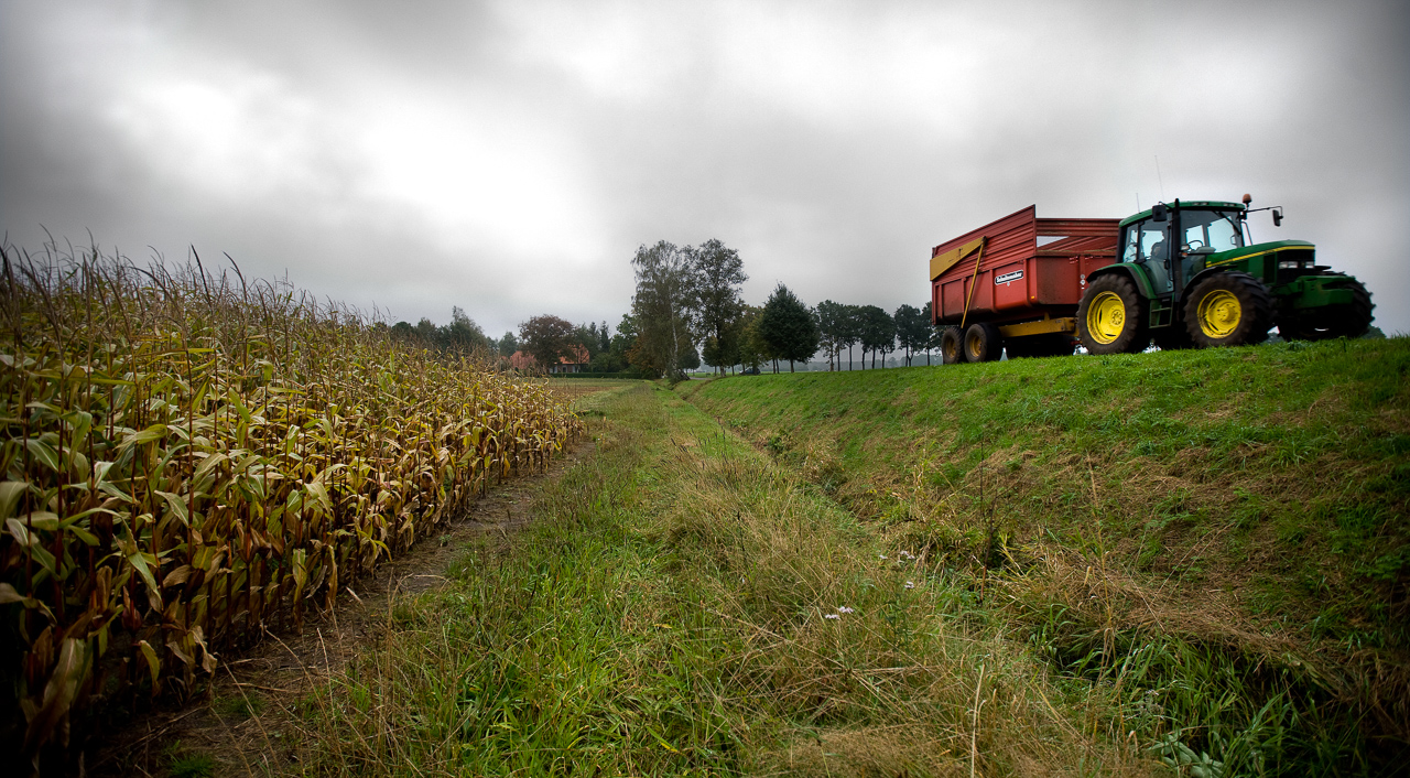 Tractor in weiland